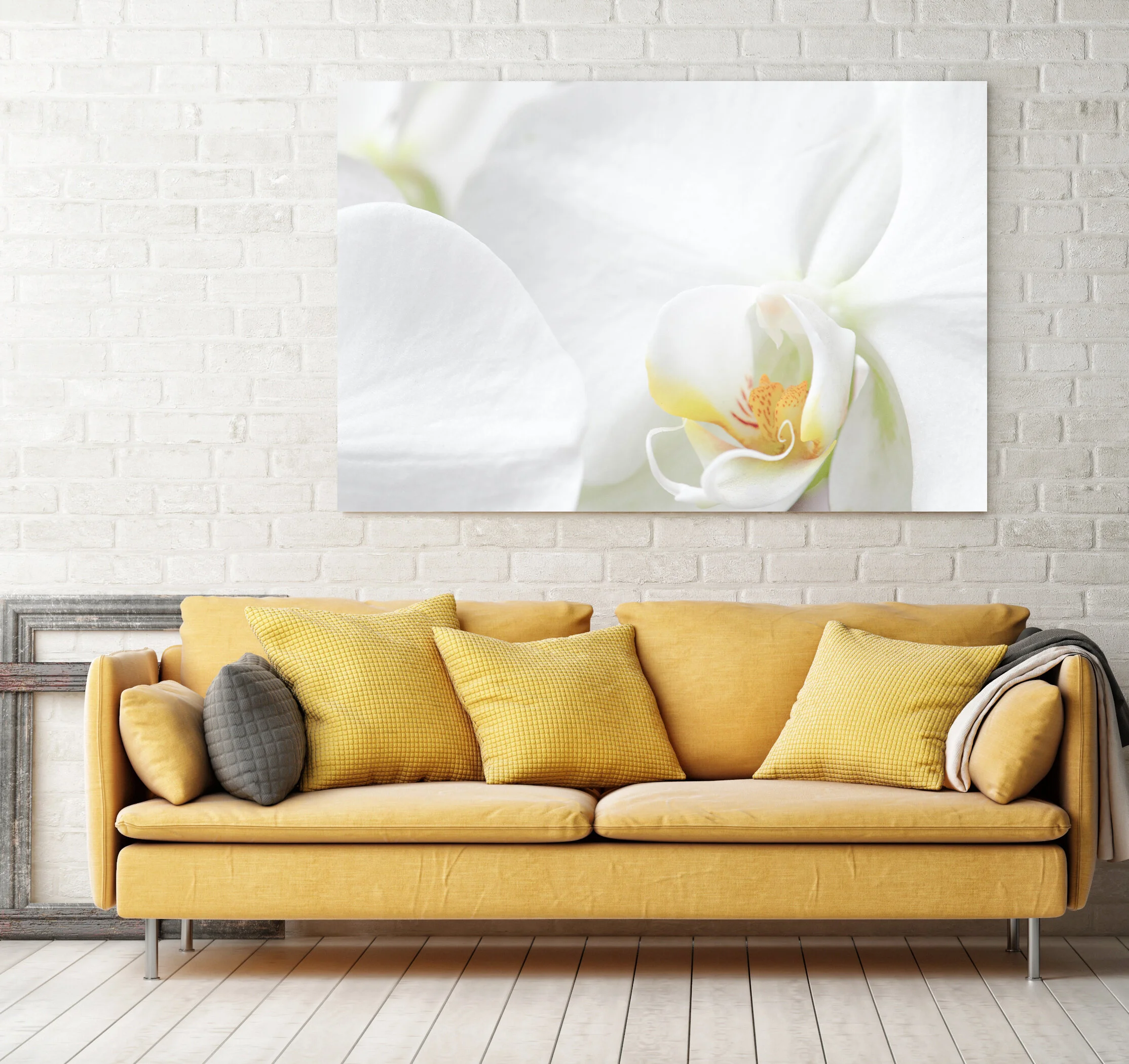 Yellow Sofa Amidst.jpg