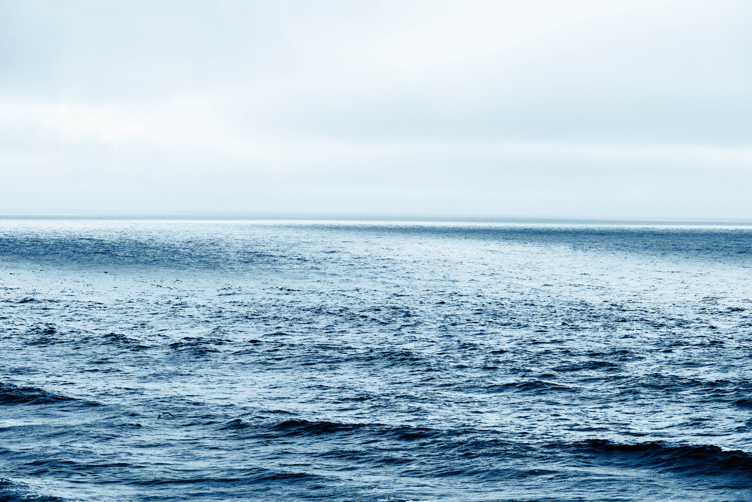 Take the Plunge