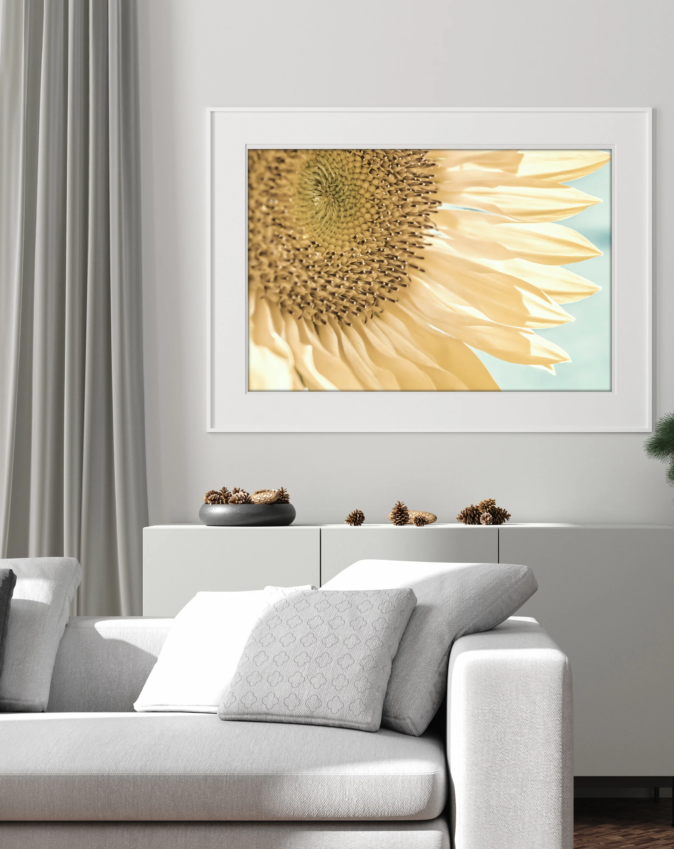 Summer Breeze Room.jpg
