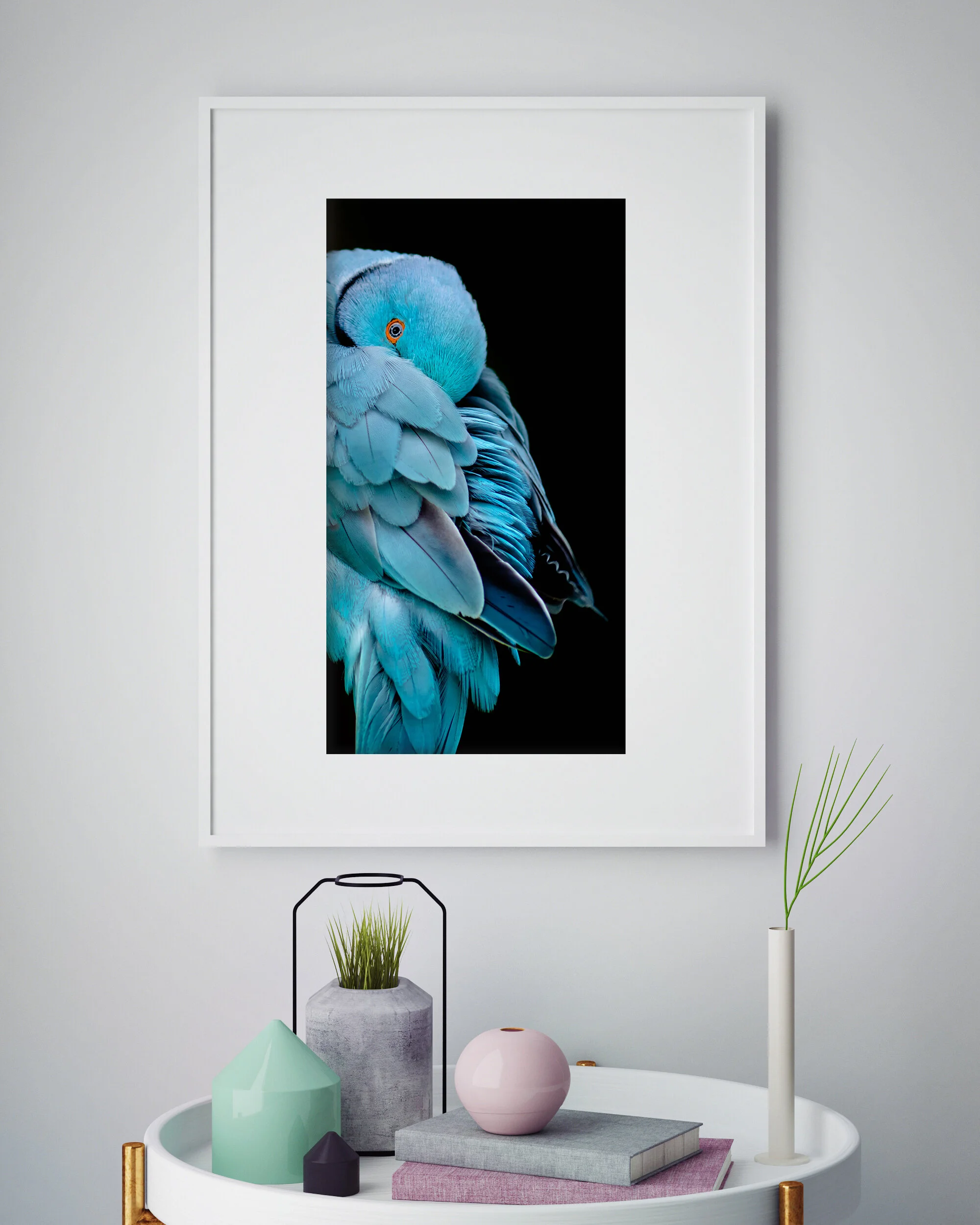 Blue wing Room.jpg