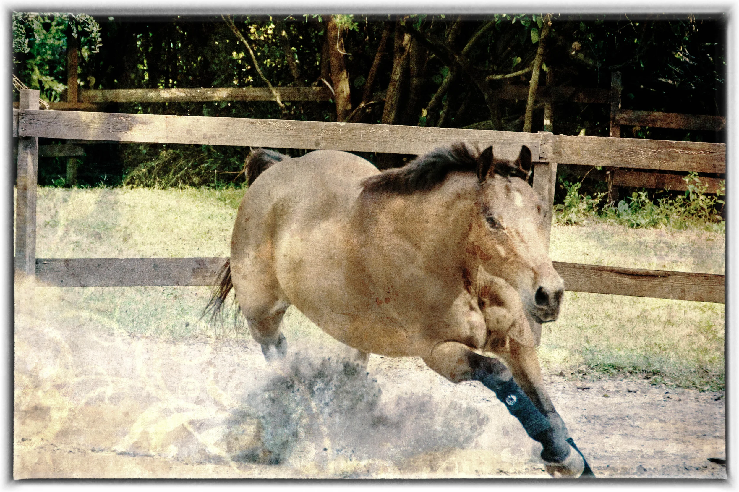 Footloose