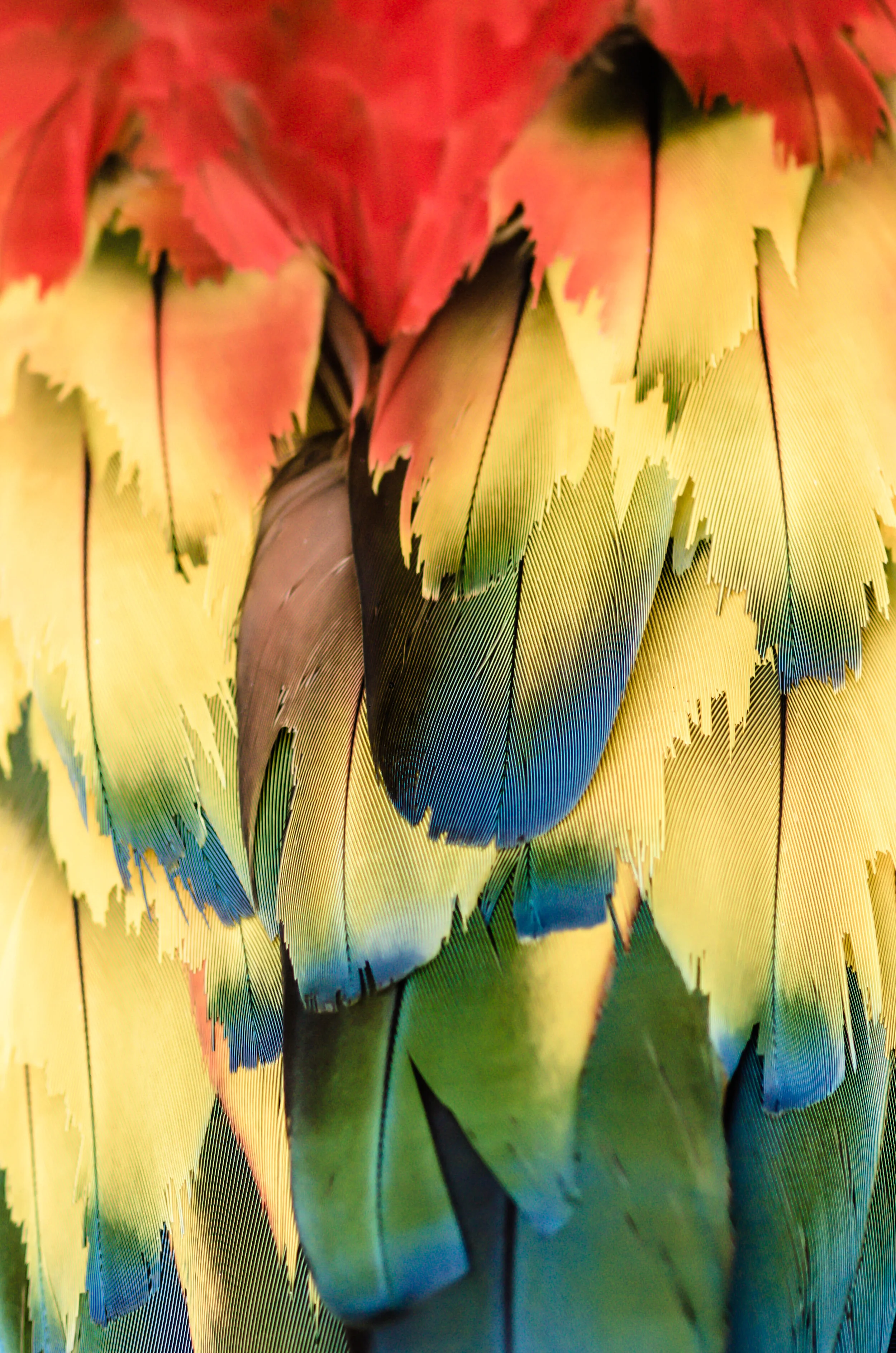 Natural Abstraction