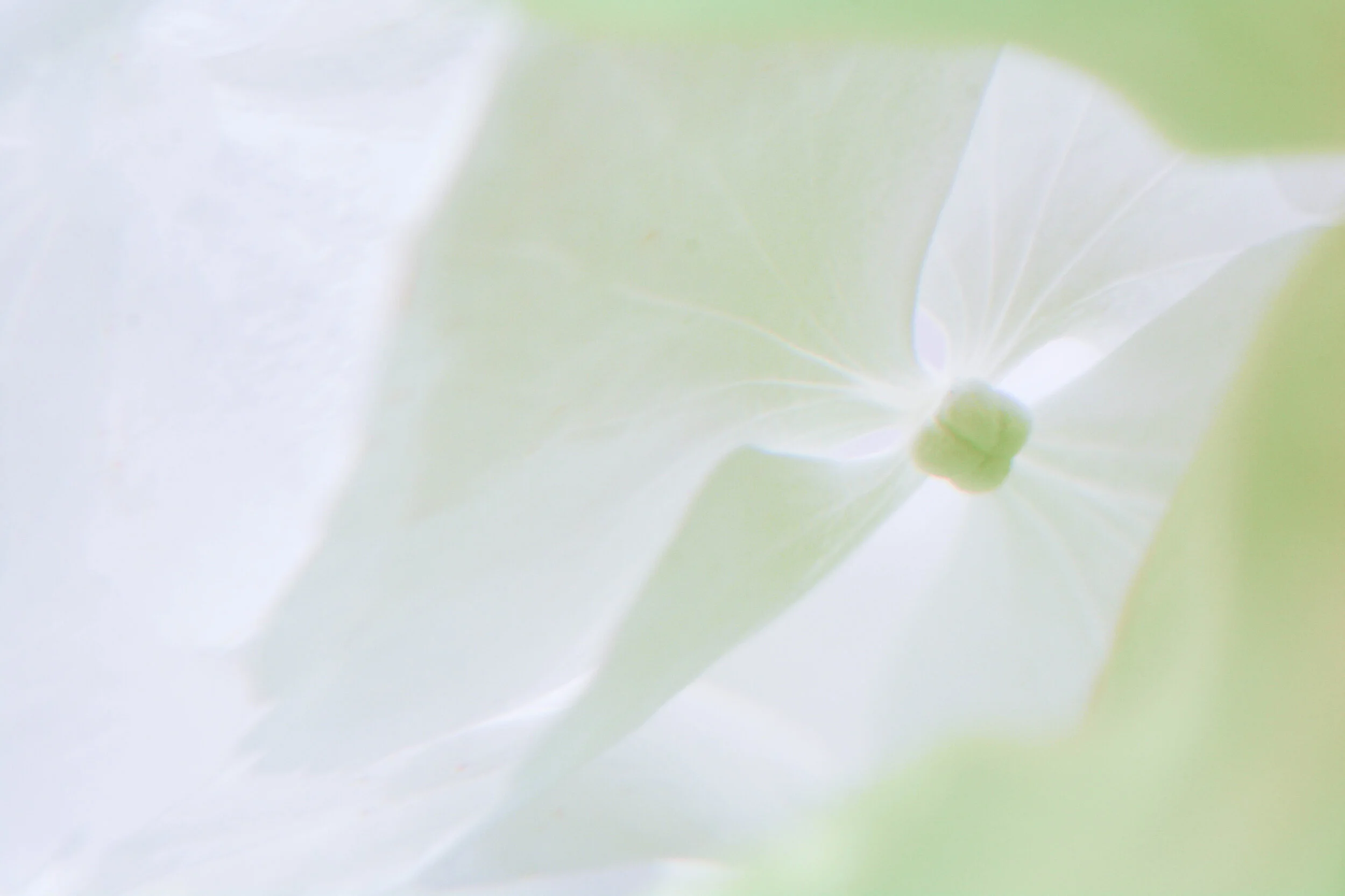 Green Mist