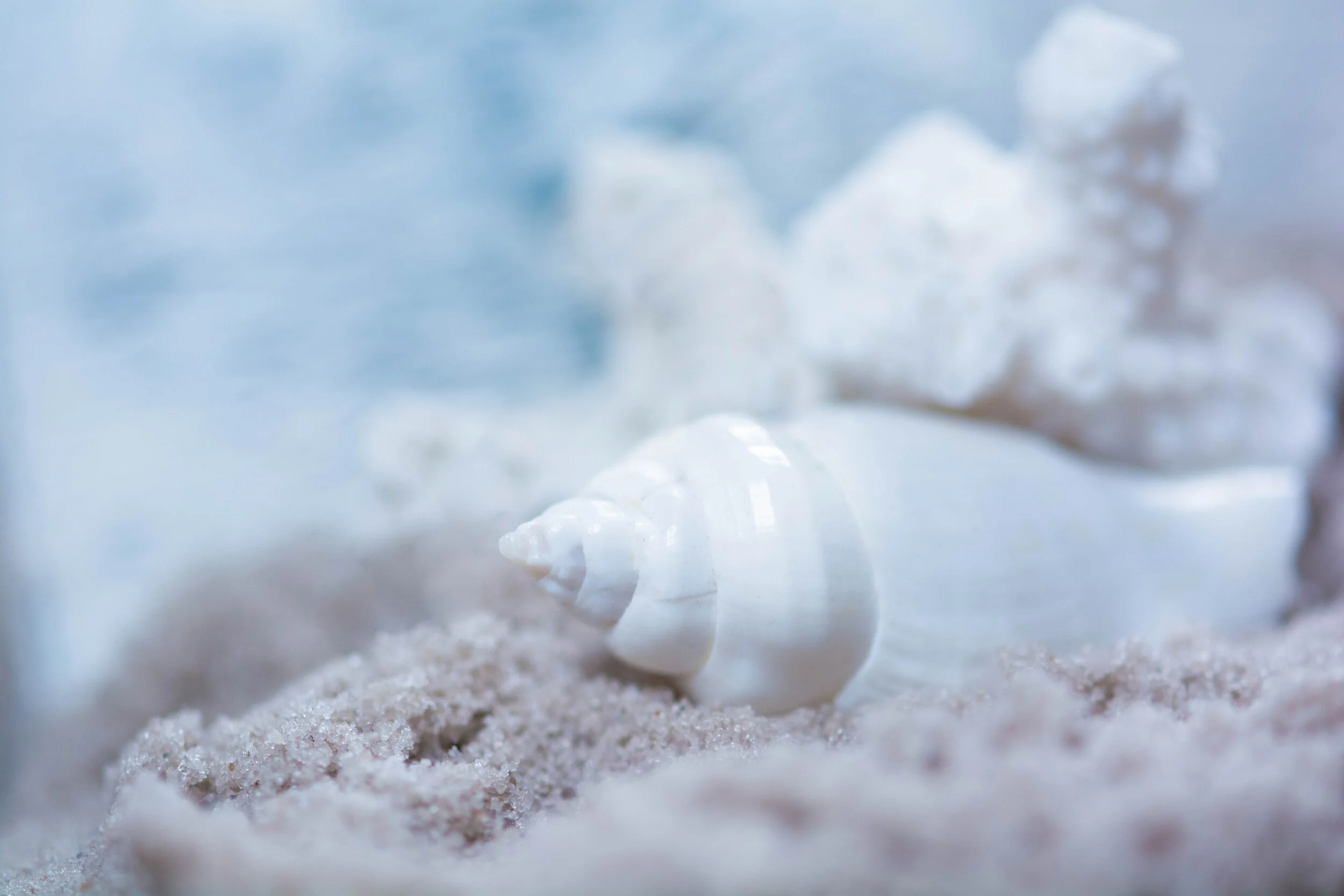 Beached