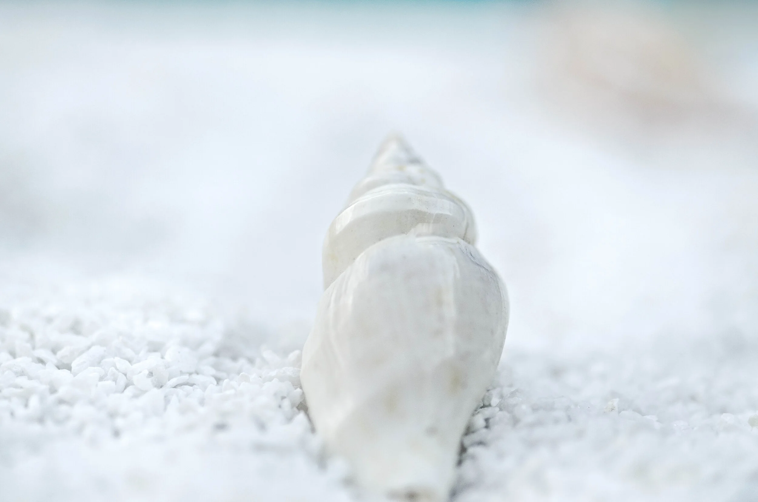 In With the Tide