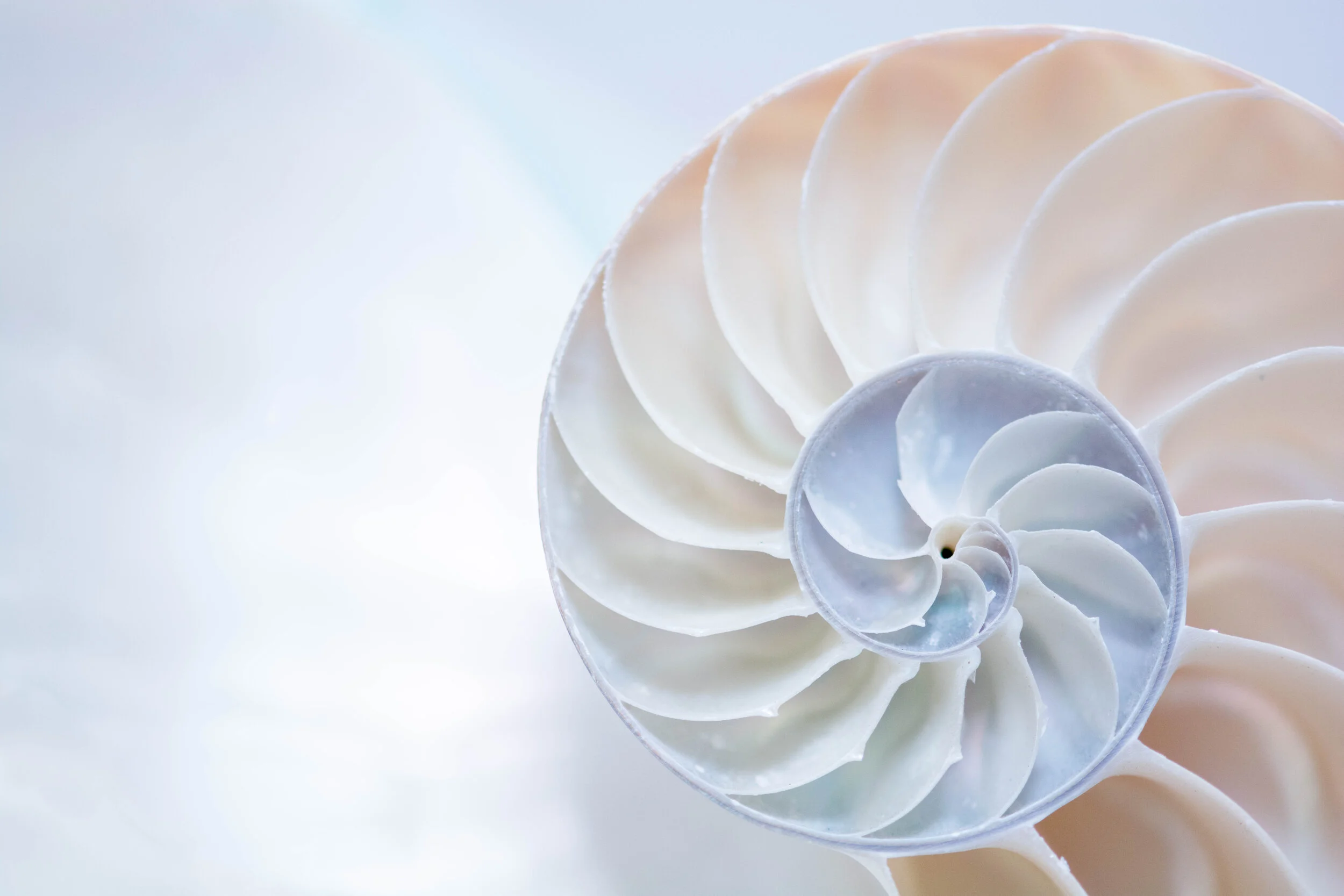 Pinwheel
