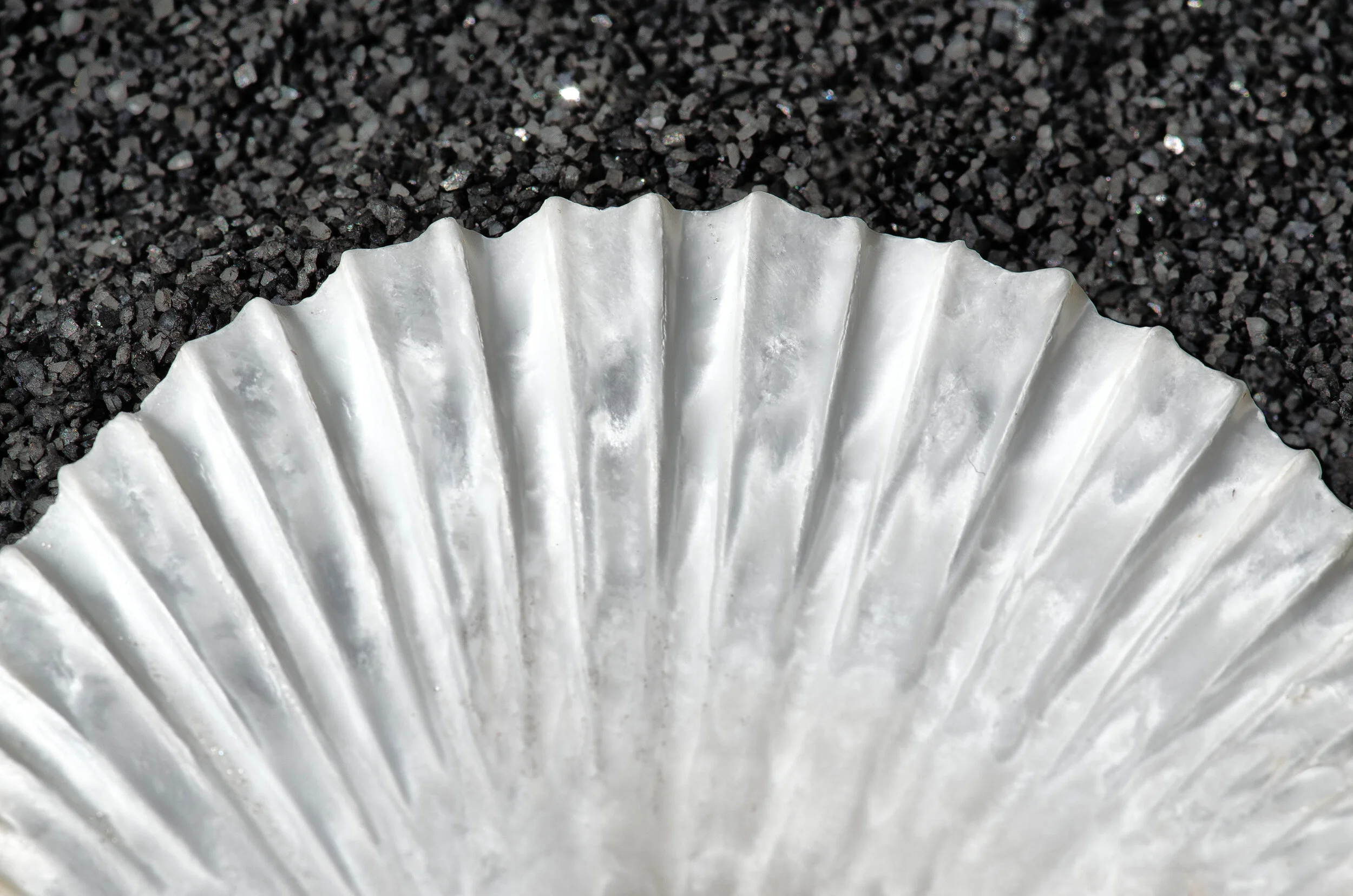 Sand Fan