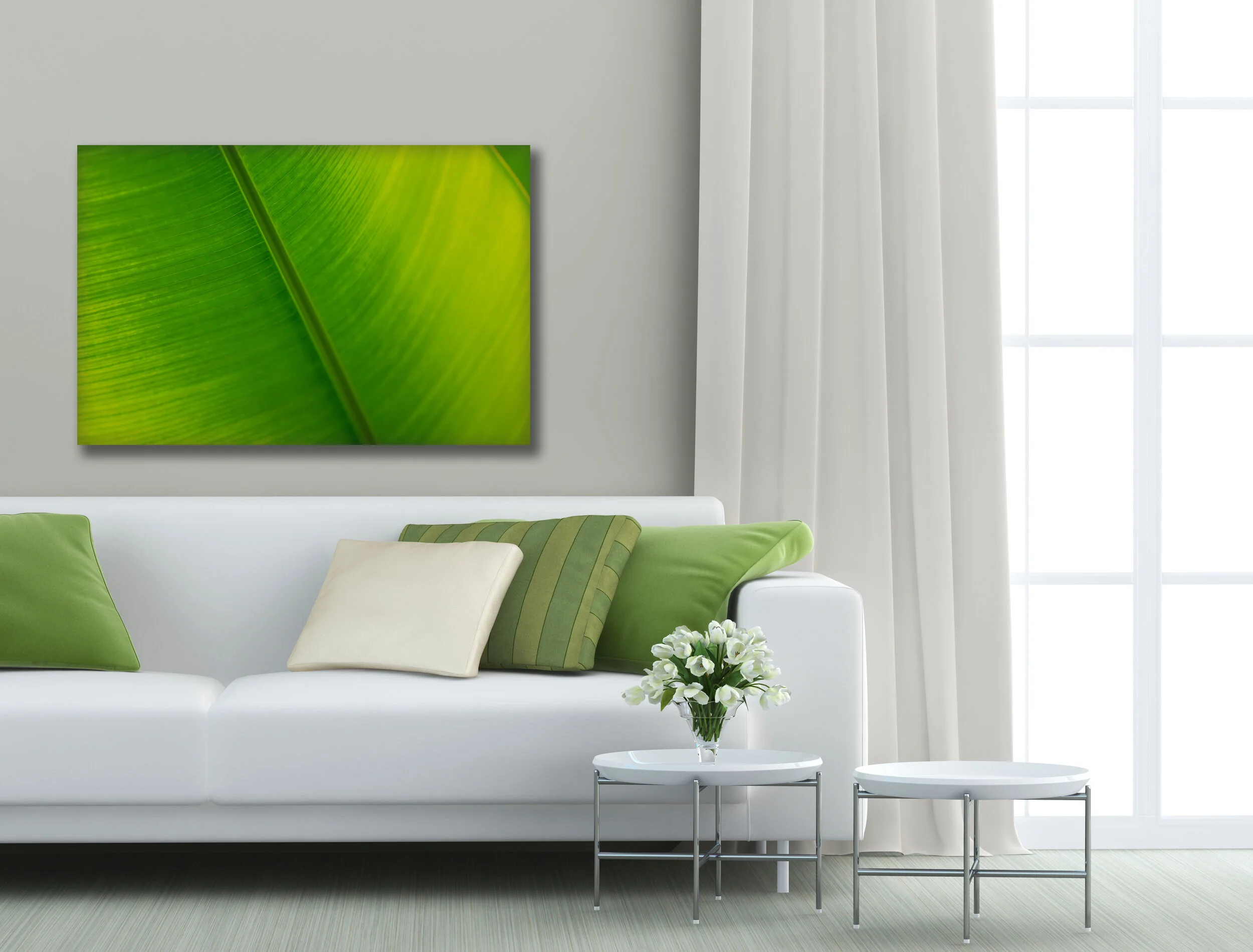 Bold Room.jpg