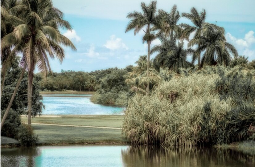 Tranquility