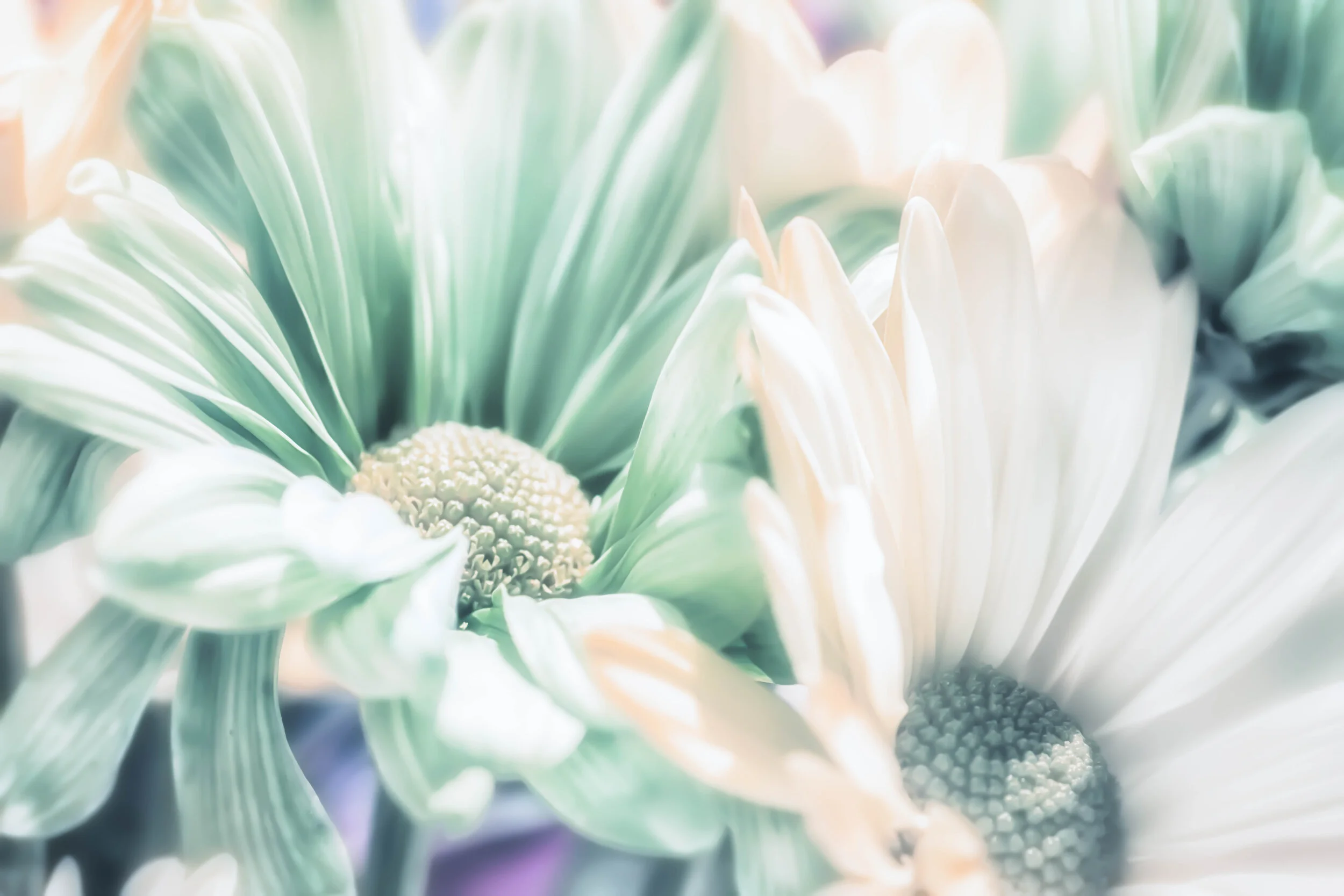 Spring Fling