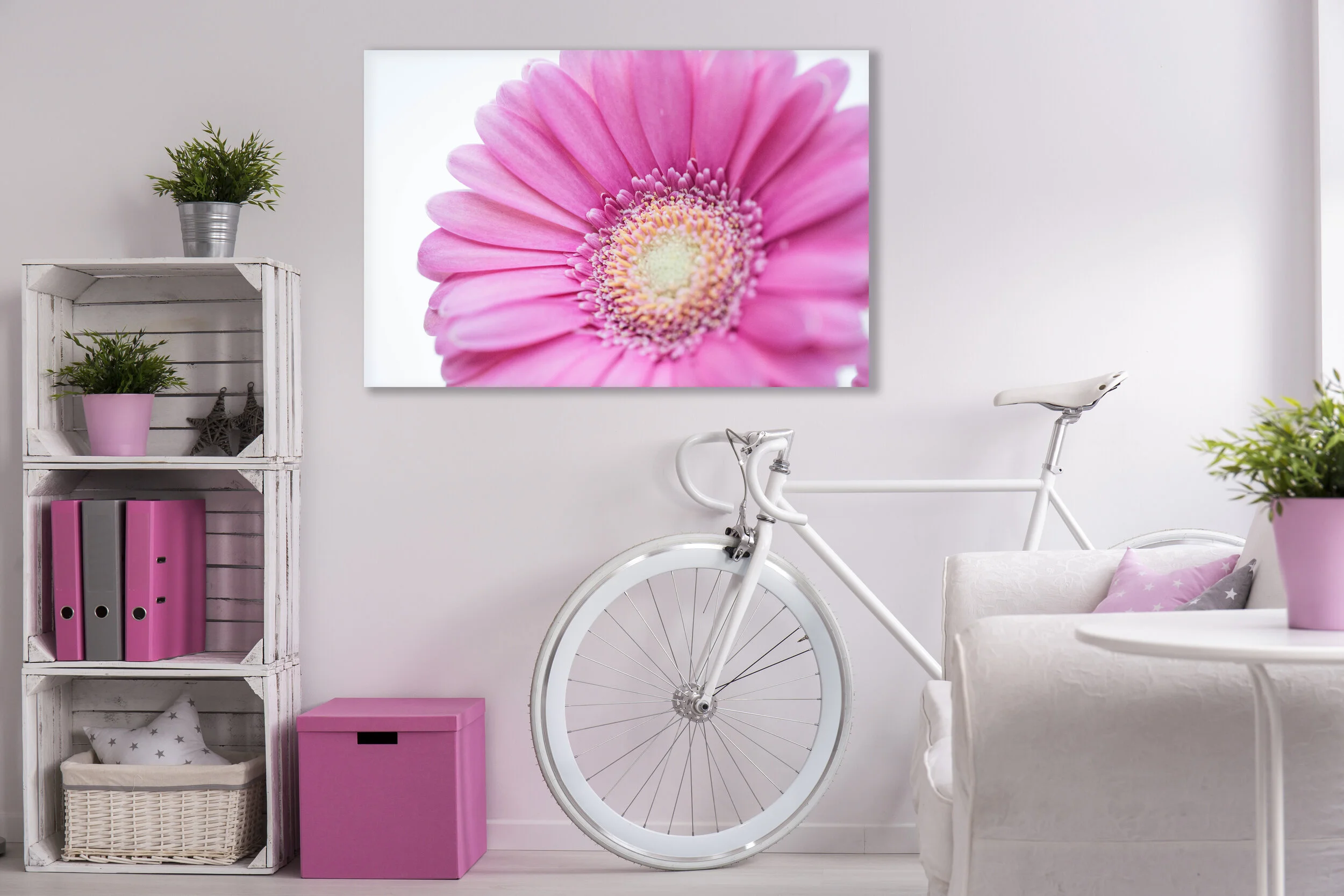 Solitary Pink Room.jpg