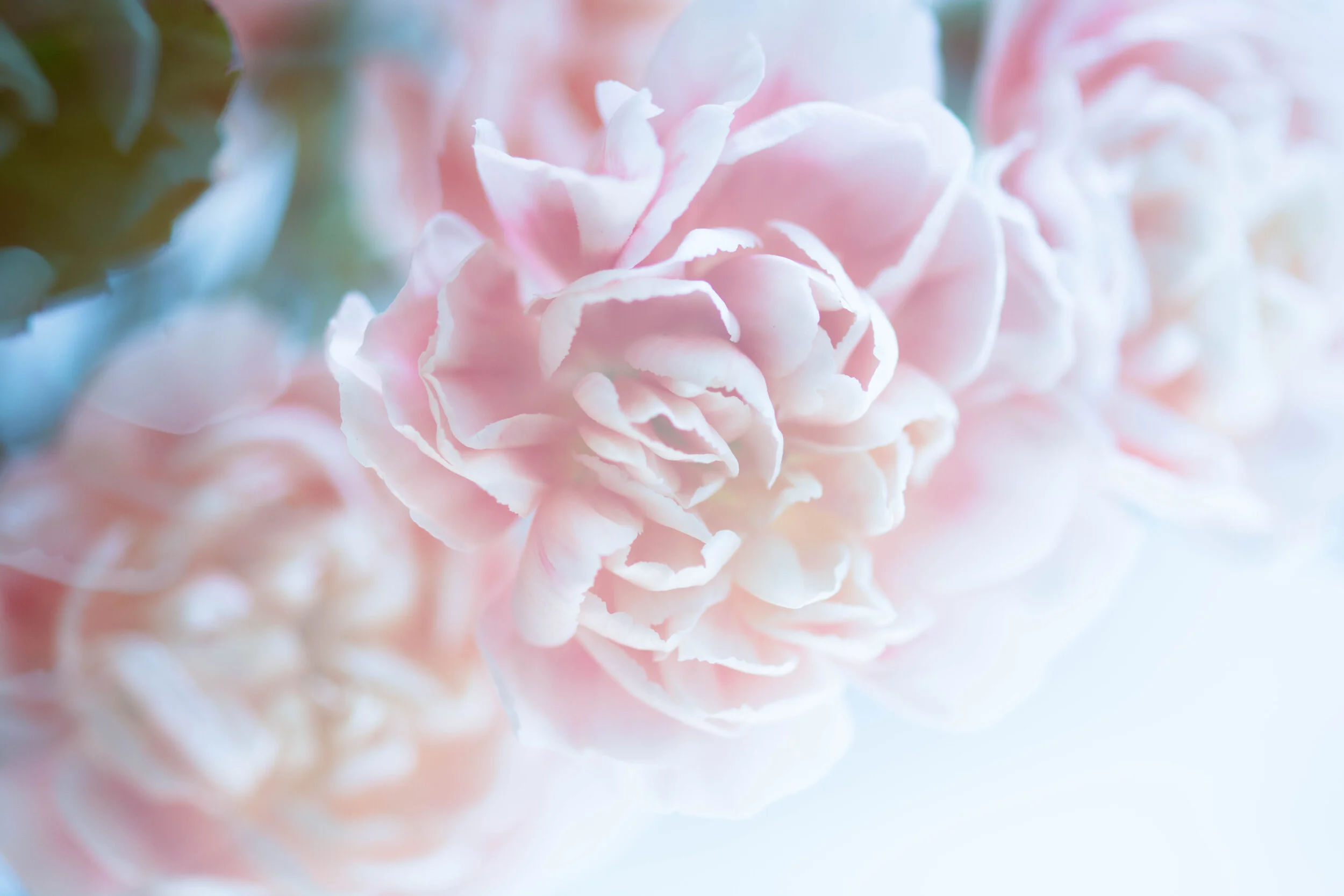Ruffles