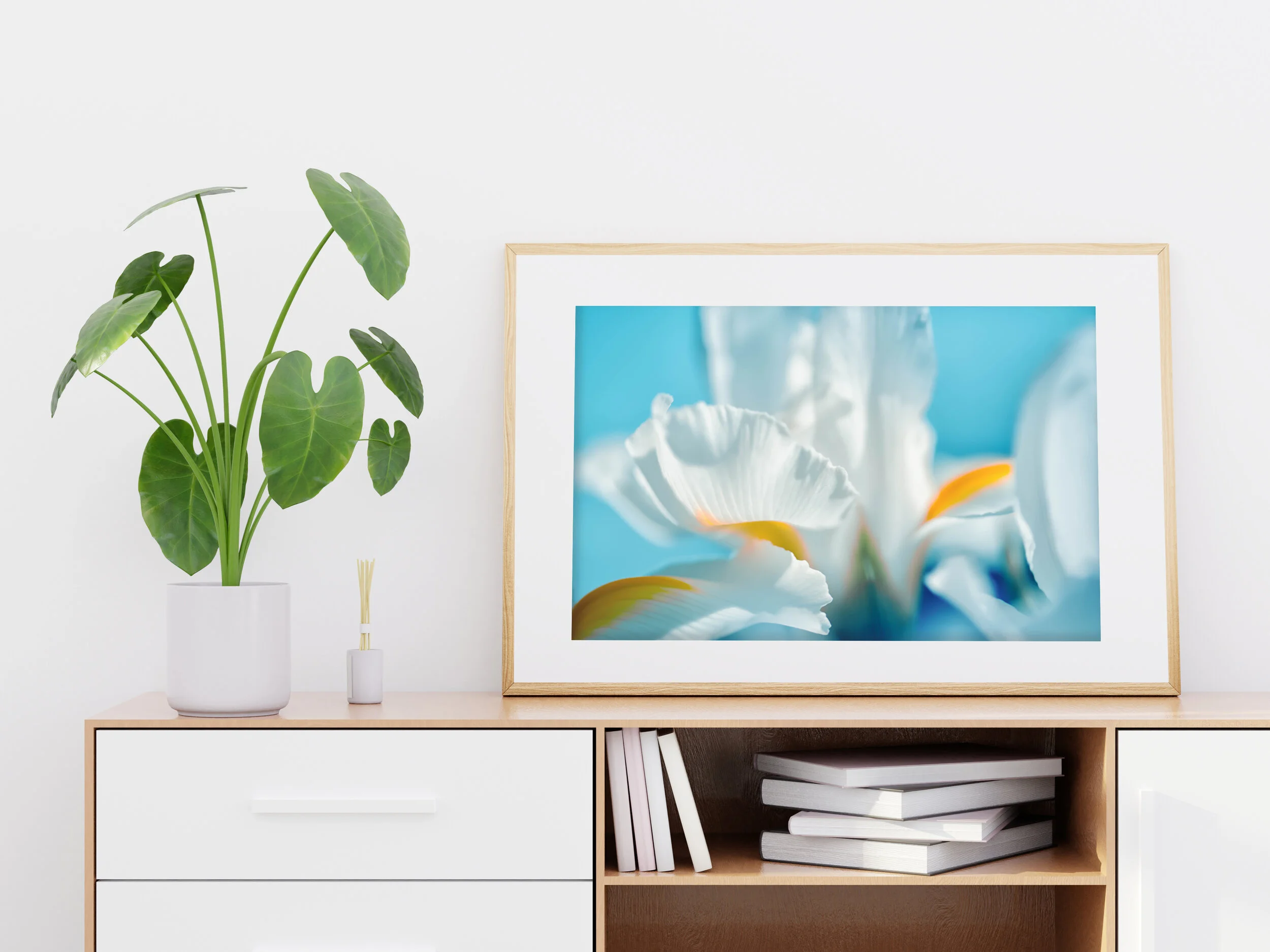 Tropical Dreams Room.jpg