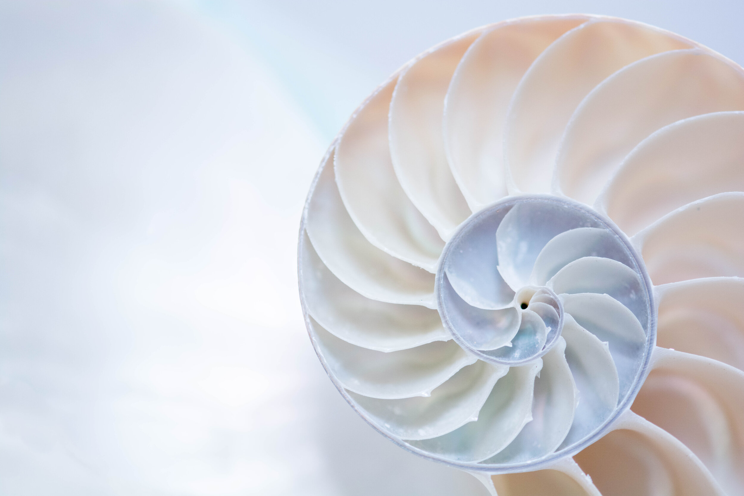 Pinwheel.jpg