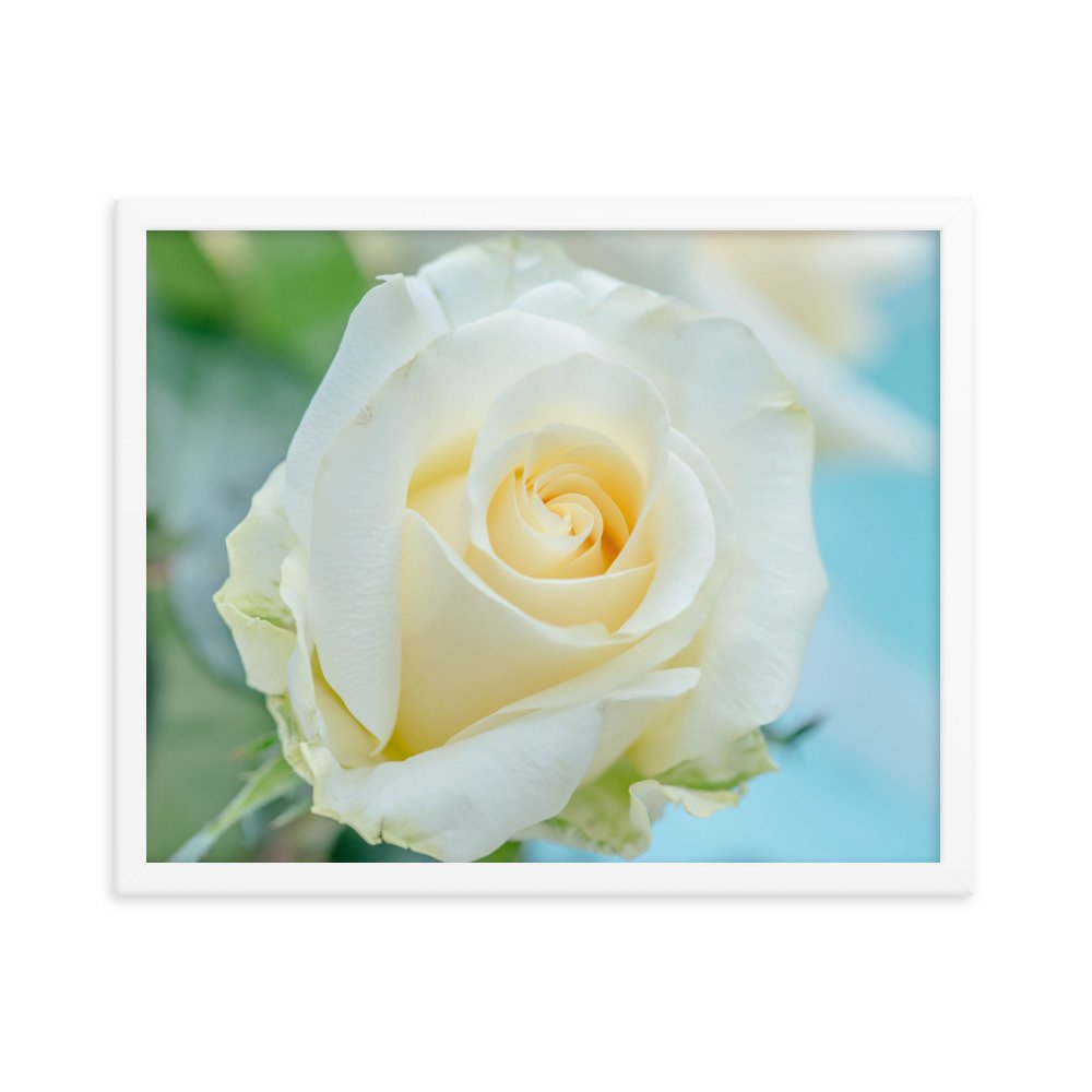 enhanced-matte-paper-framed-poster-(in)-white-16x20-transparent-65dd5057836cf.jpg