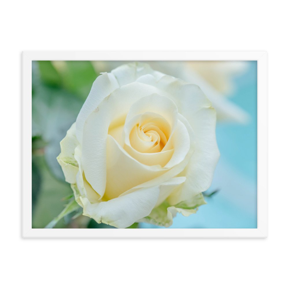 enhanced-matte-paper-framed-poster-(in)-white-18x24-transparent-65dd5057846d4.jpg