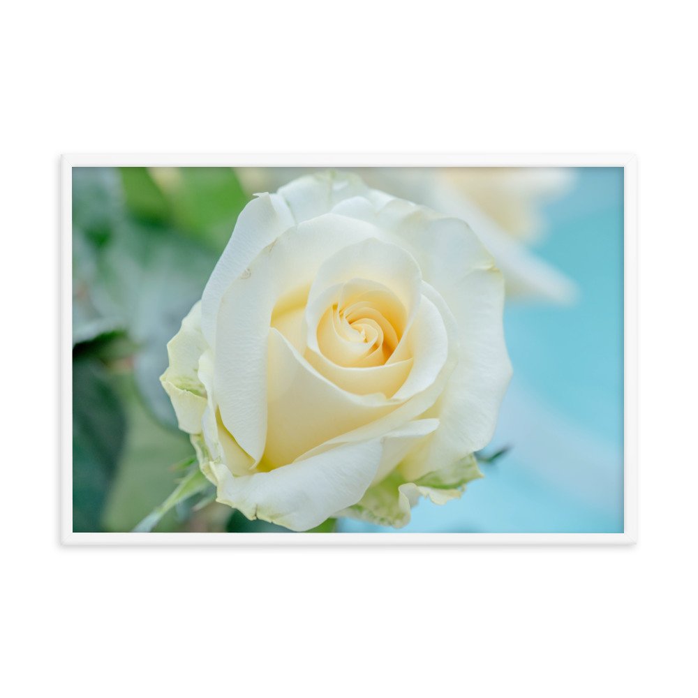 enhanced-matte-paper-framed-poster-(in)-white-24x36-transparent-65dd50578473e.jpg