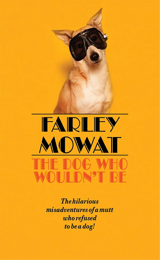 project52_week4_favouritebook.jpg