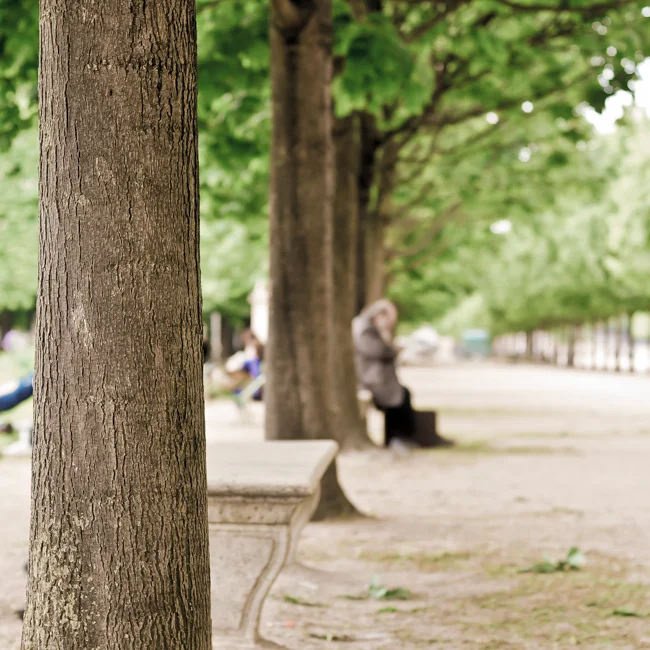 Paris-8-2.jpg