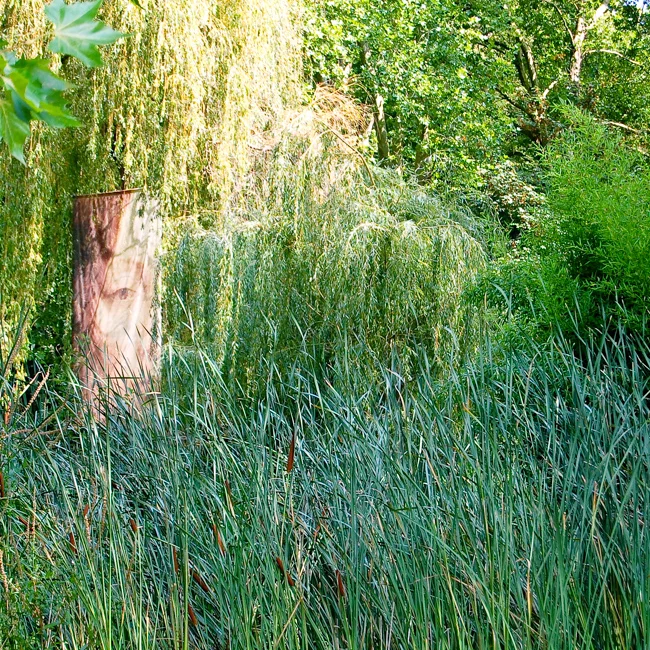 Loire-2.jpg