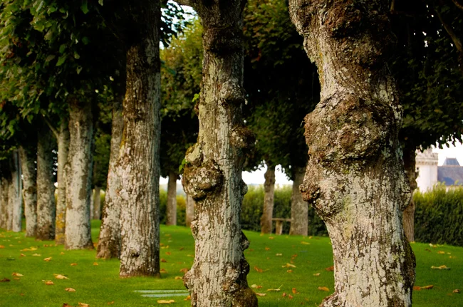 Loire-40.jpg