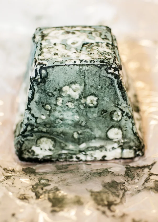 Cheese.jpg
