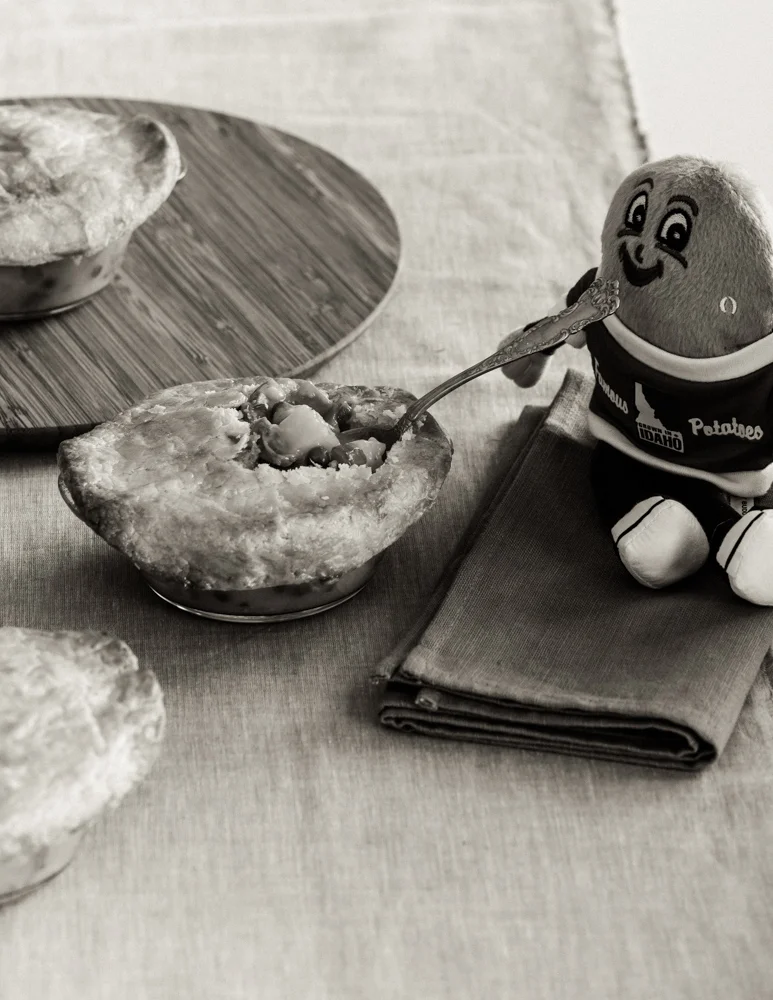 SpuddyBuddy-KB-3.jpg