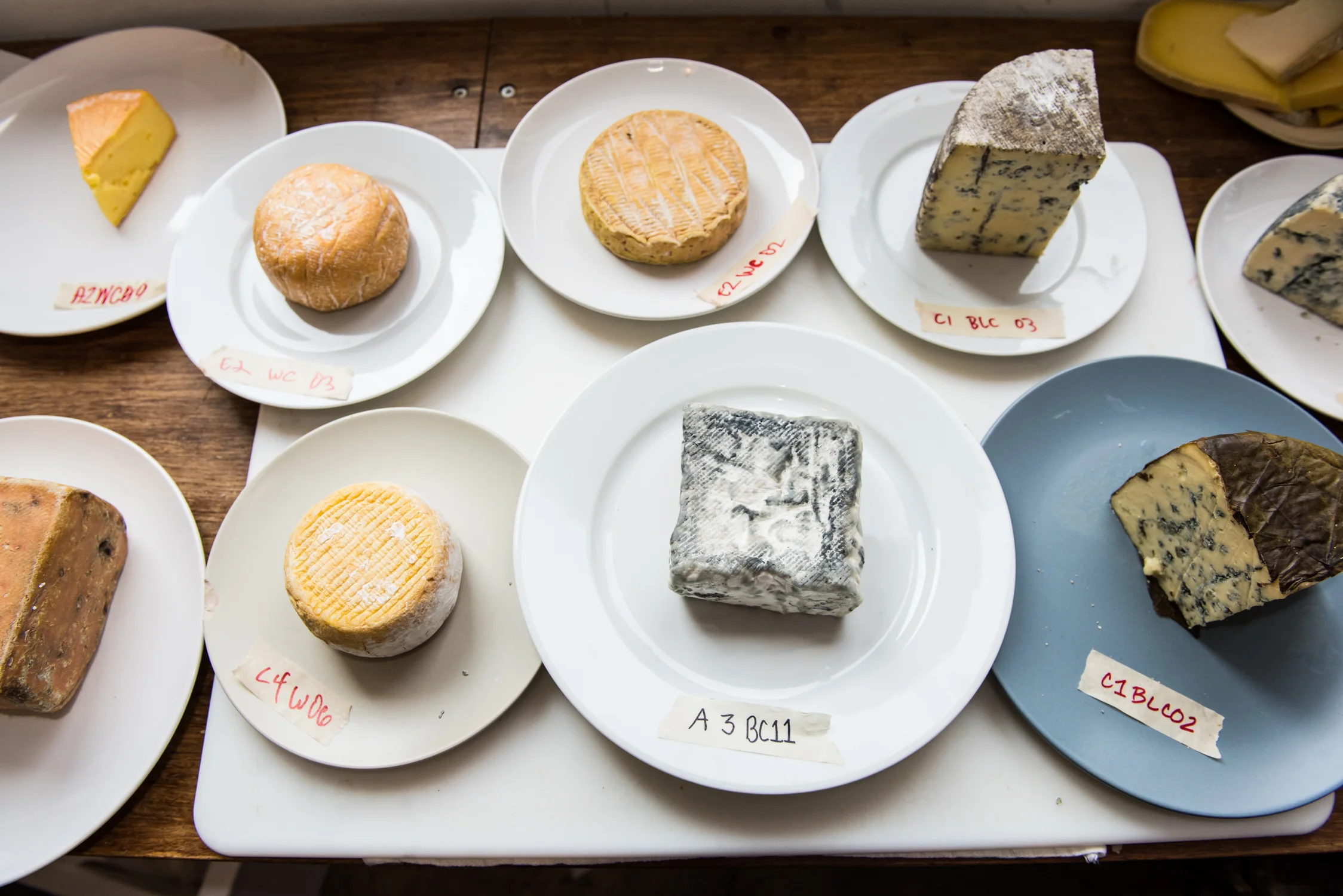 GFA_Tasting_2015_KB_62.jpg