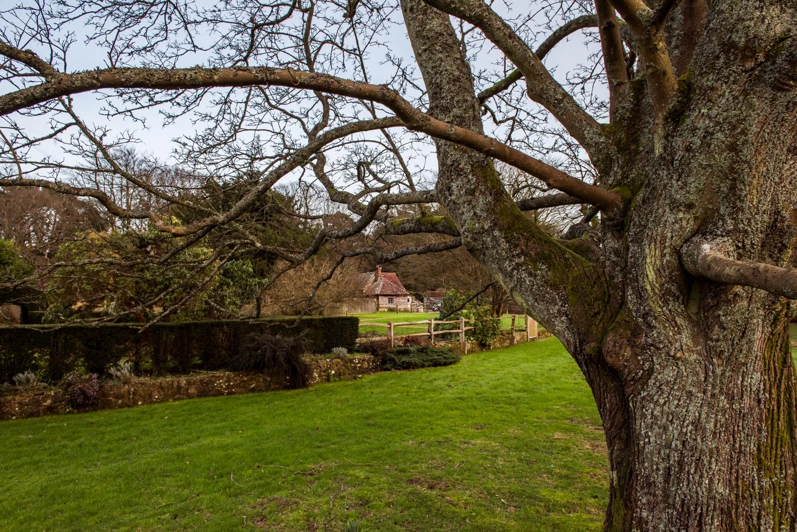 Goddards_Gallery_KB_45.jpg