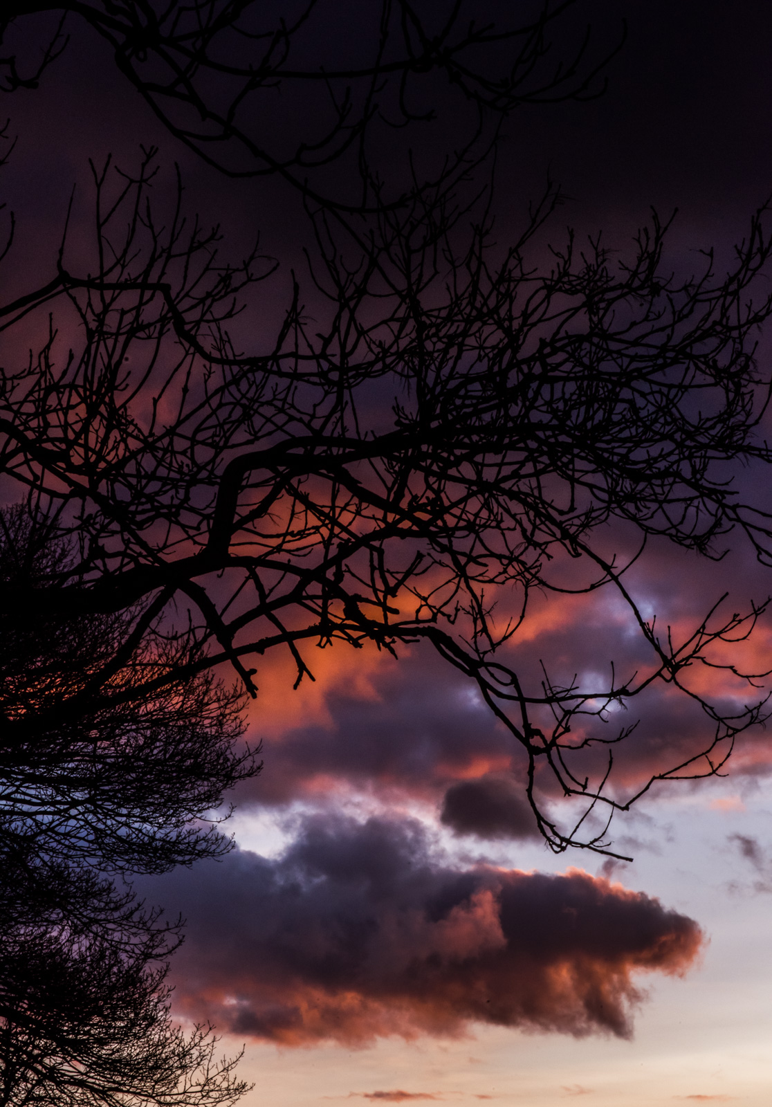 Goddards_Gallery_KB_88.jpg