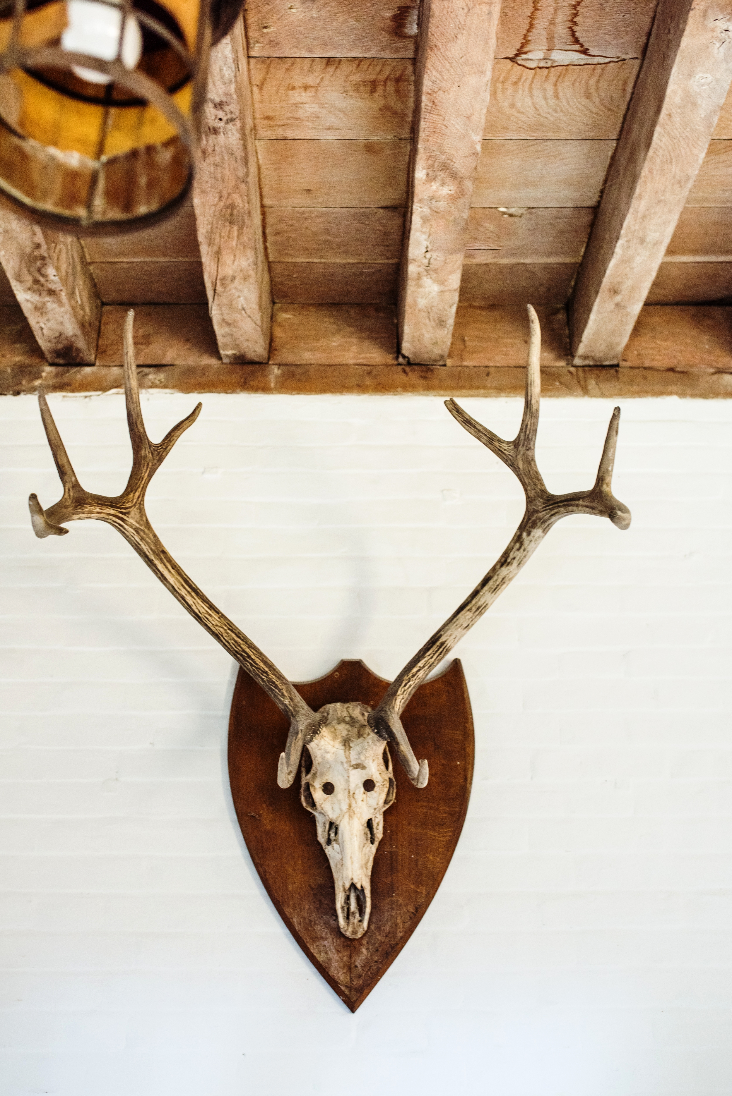 Goddards_Gallery_KB_18.jpg