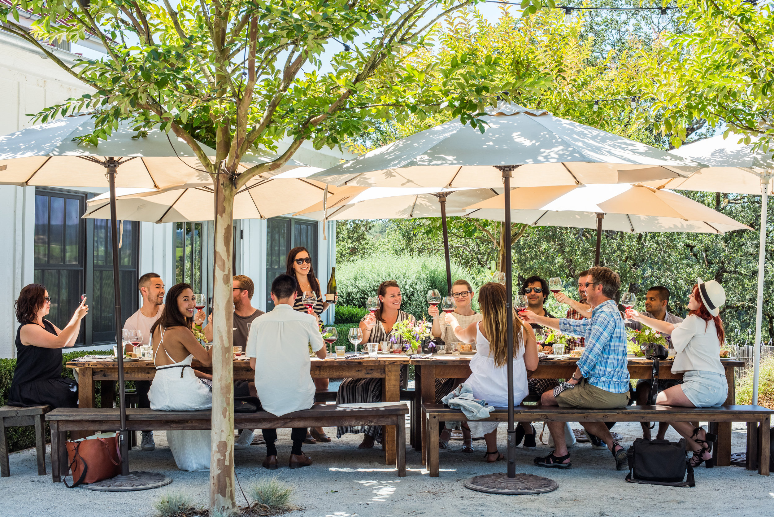 Lifestyle - Wine Tasting at Copain - Group Toast