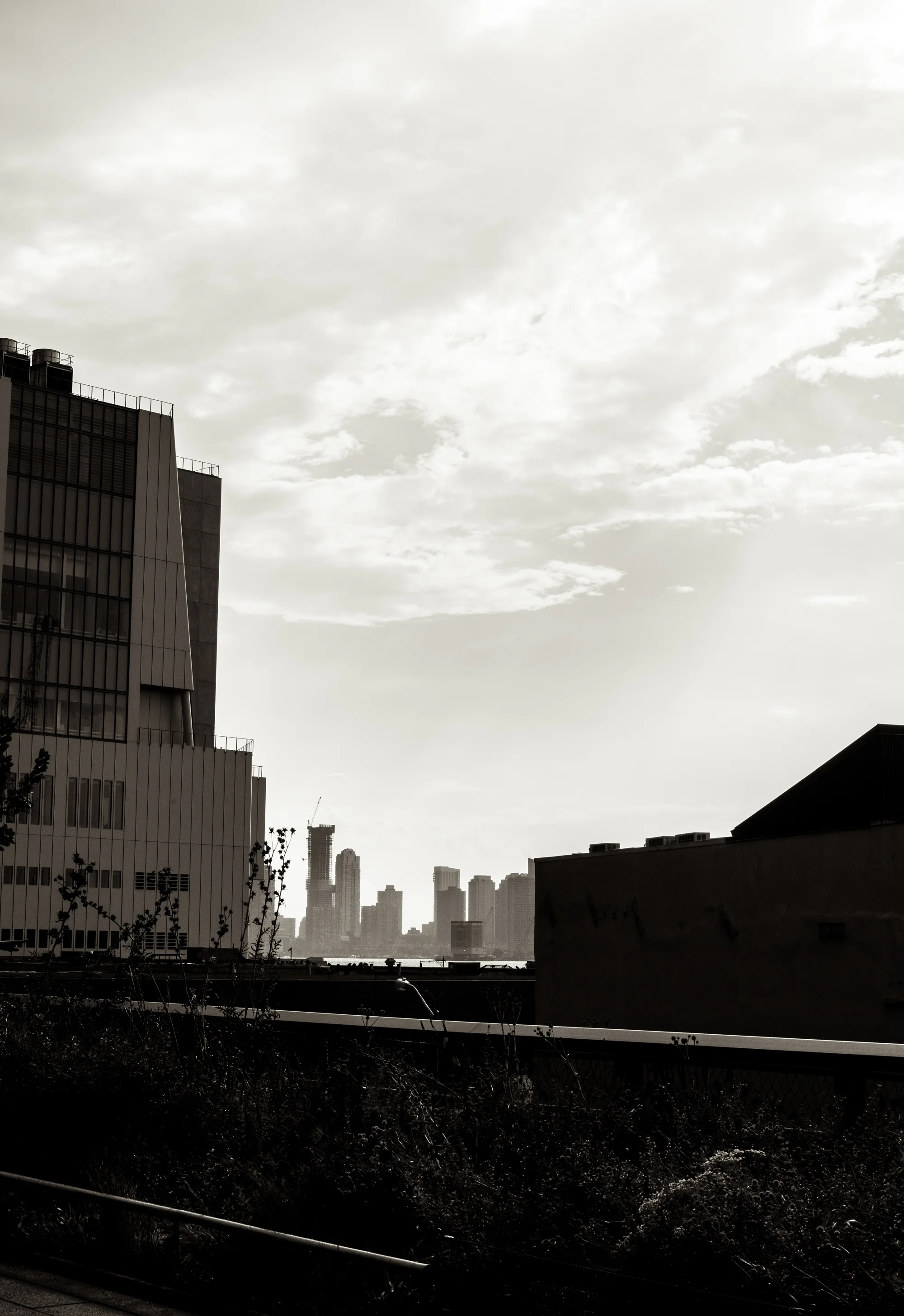 NY_22.jpg
