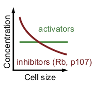 Rb dilution+Figs-1.png