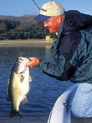 Photo: Bill Siemantel Bill Siemantel and Mike Jones say big bass aren't loners – anglers just think they are.