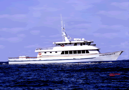 sideshot2.gif