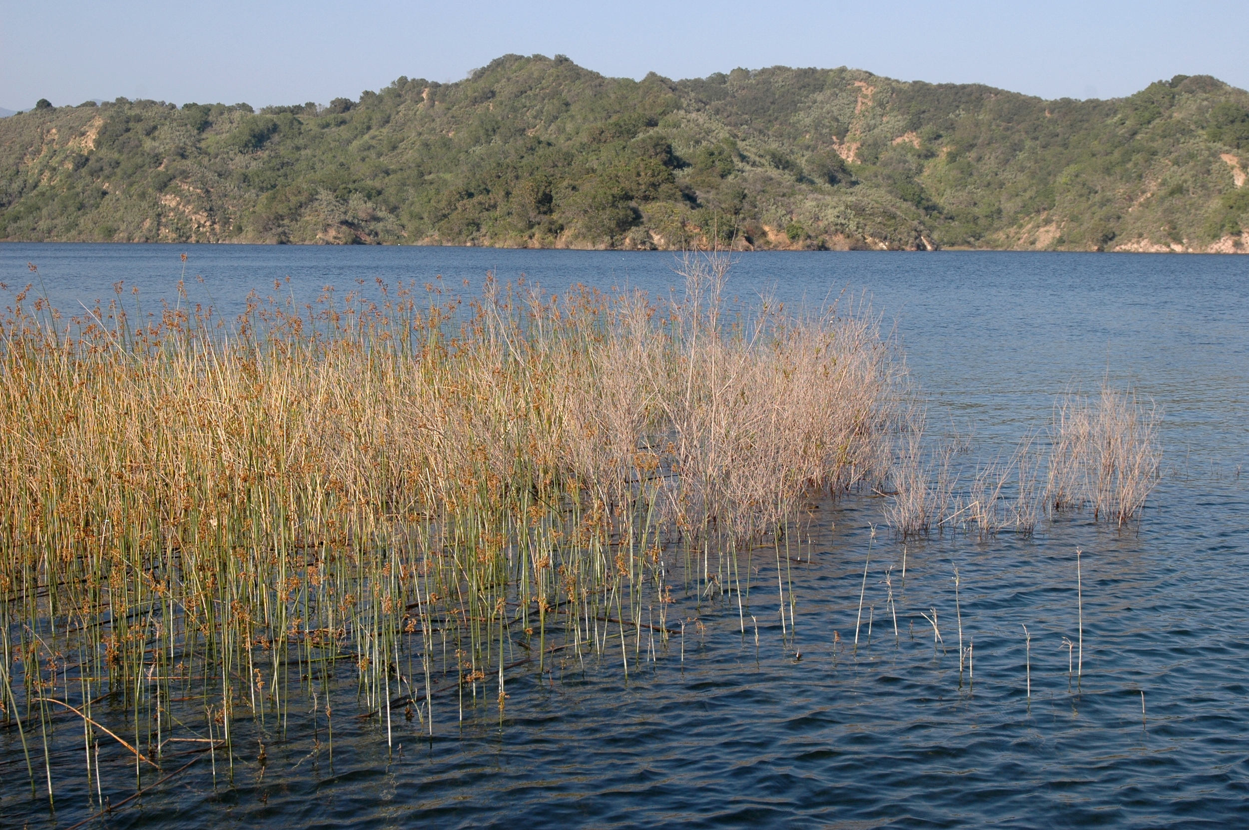 DSC_0179.jpg