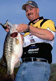 Meta-Knowledge: Spring And You