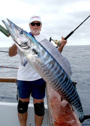 bigwahoo.jpeg