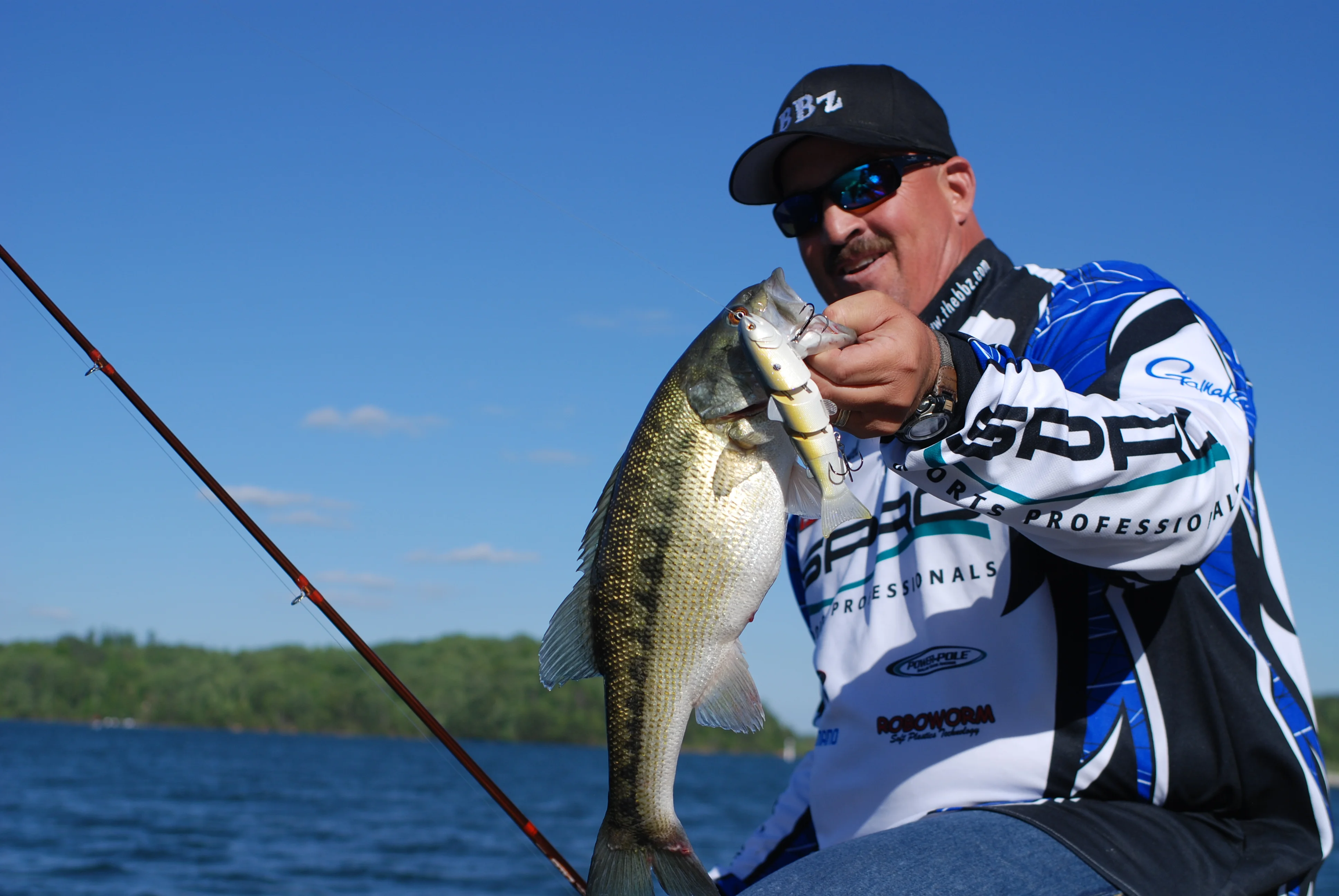 The Bass Anglers Guide - Ups and Downs at the Point of Contact