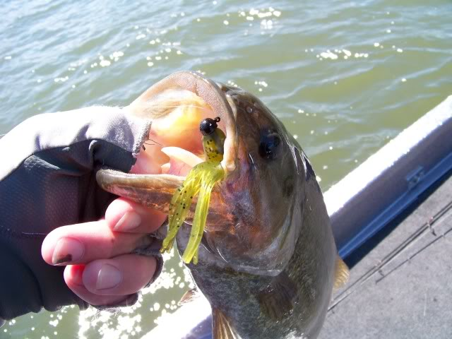 Well Hooked