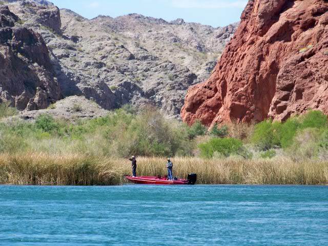 Nice spot guys