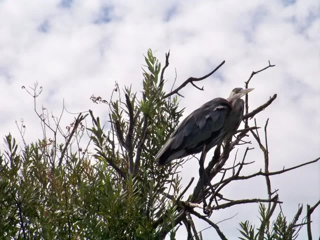 Angler taking a break