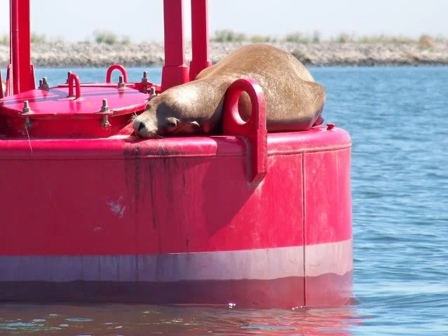 Another angler taking a break