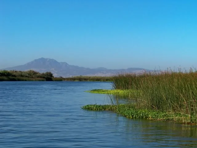 Mount Diablo as seen from the Delta in Sand Mound Slough.
