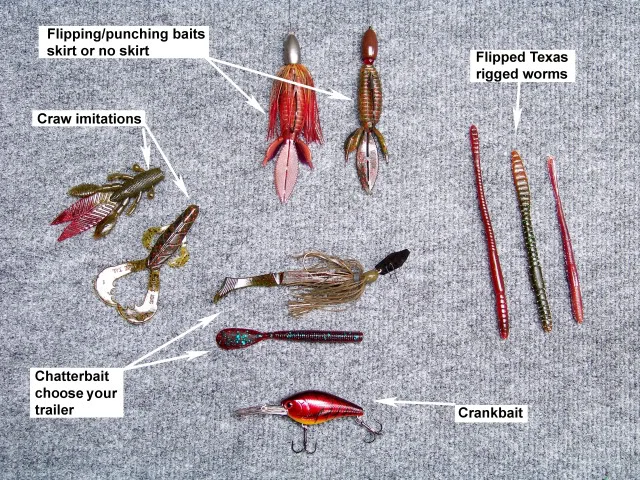 The presentations and baits mentioned by the top 10. As we know here at the BBZ the technique is not defined by the lure.