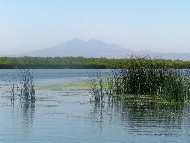 Mount Diablo (Mountain of the Devil) a geographical landmark silhouetted in the background is visible from most everywhere on the Delta