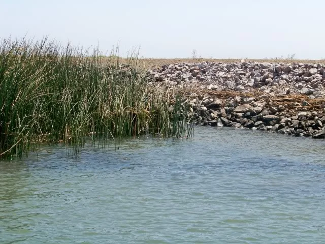 Prime spot, rock levee with a tulle edge and submerged vegetation (dark areas in the water) out from the levee. Look for the bass between the levee and the vegetation next to the tulles