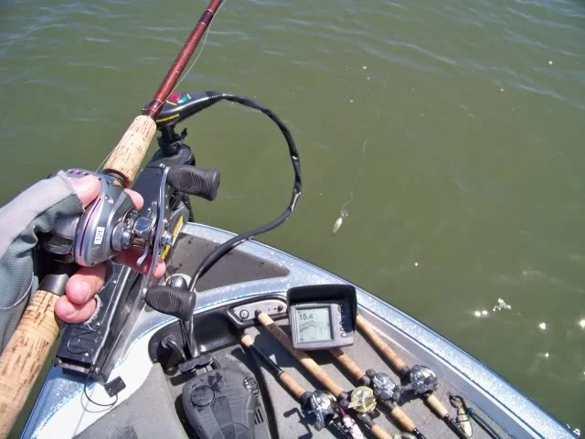 Let’s crank them with a deep diver