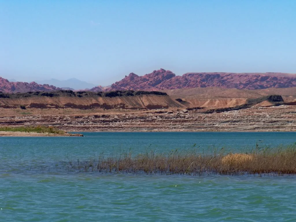 Flooded Grass in Overton Arm Muddy Mountains in distance